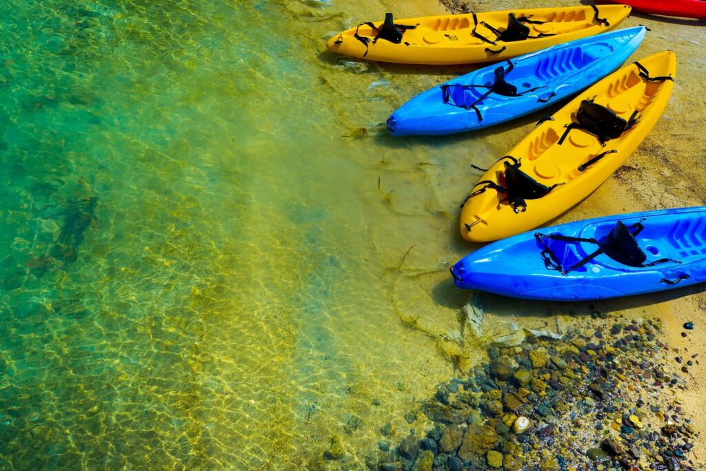 wellness activities
